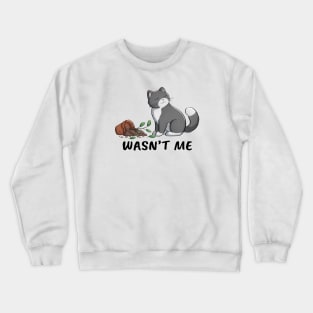 Cat With Broken Flower Pot Crewneck Sweatshirt